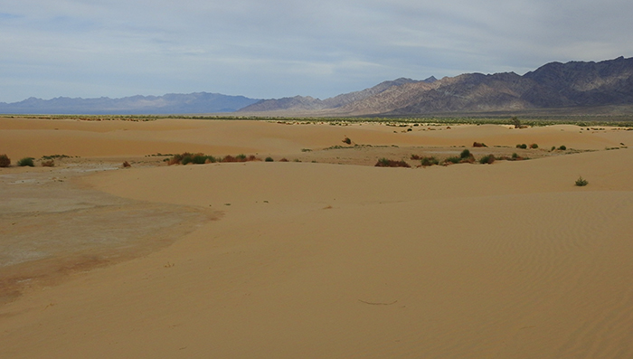 Palen-dunes